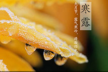 寒露：娟娟寒露中 靜看秋意漸濃
