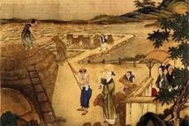 這份立秋的詩意請收下
