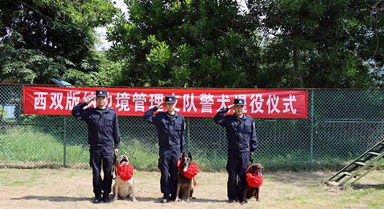功勋警犬"退休"后将继续发挥余热