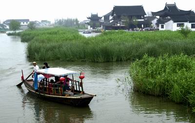 九月南下沙家浜 芦苇荡里过中秋