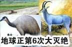 地球正第6次物种大灭绝?